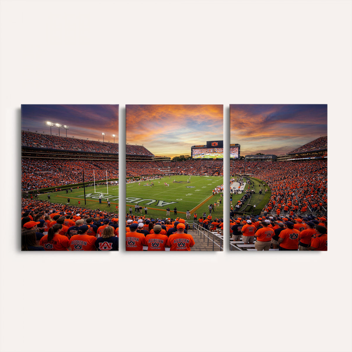 46347891-MGV-CV-36X24 - Stadium Wall Art Canvas Print