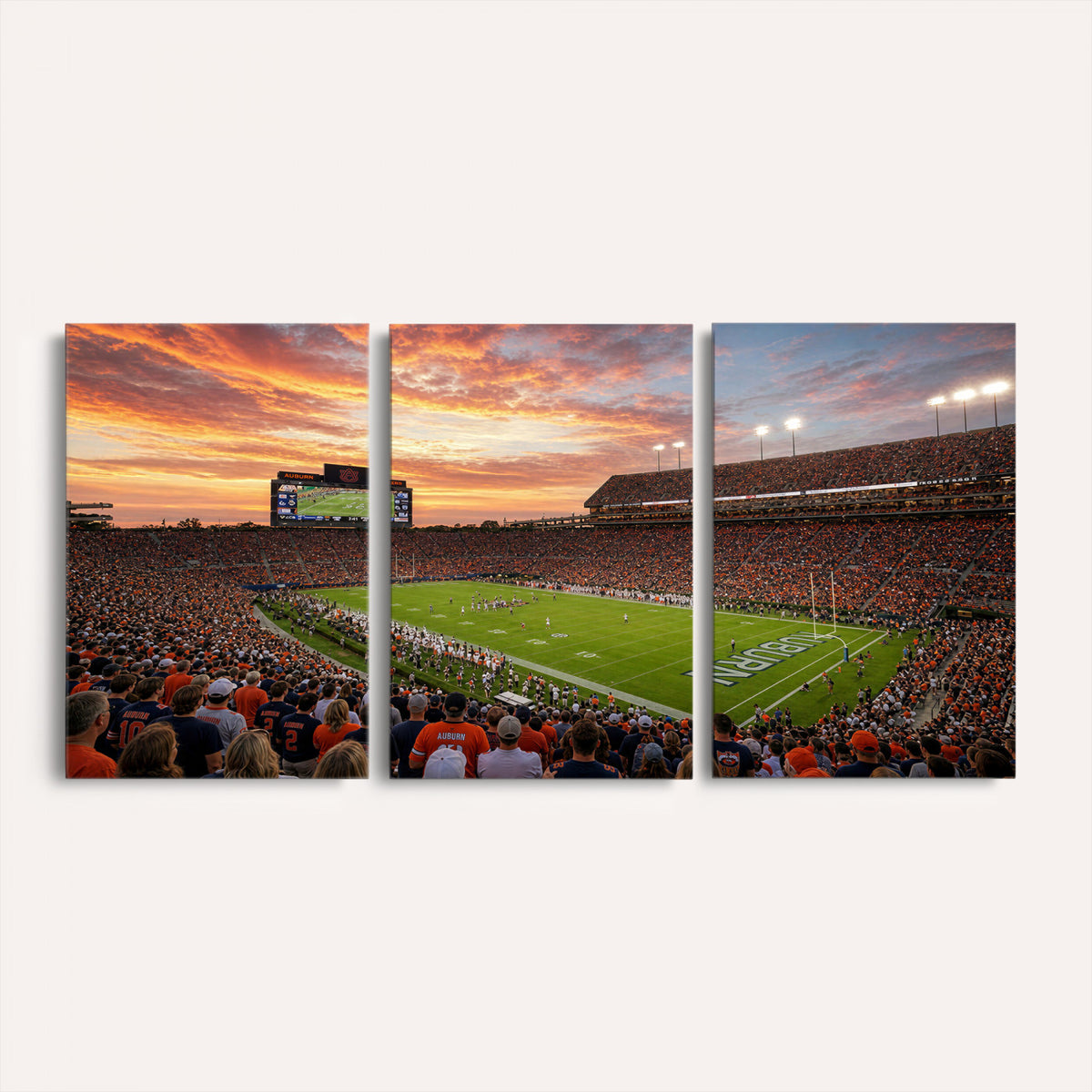 28631591-MGV-CV-36X24 - Stadium Wall Art Canvas Print