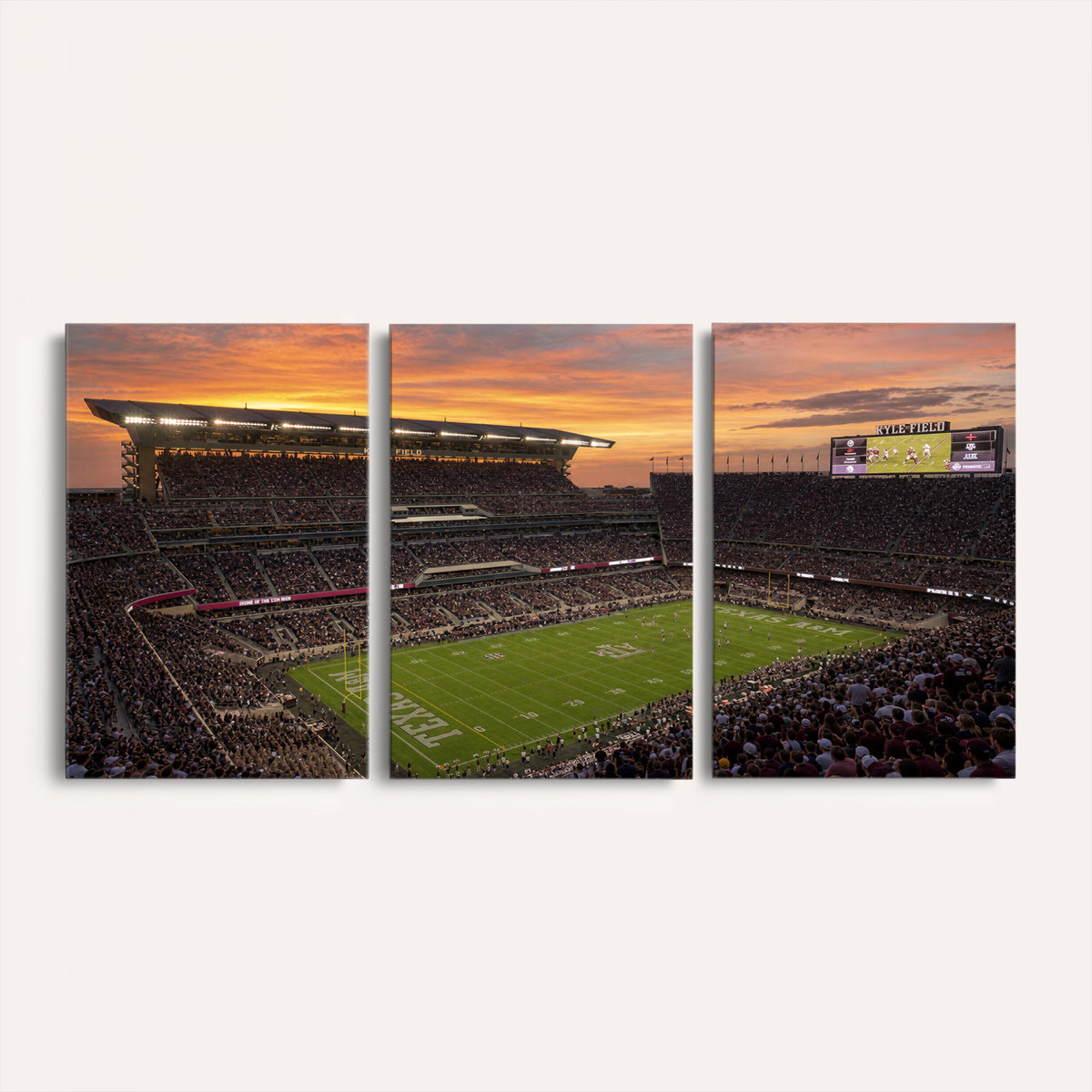 77401853-MGV-CV-36X24 - Stadium Wall Art Canvas Print