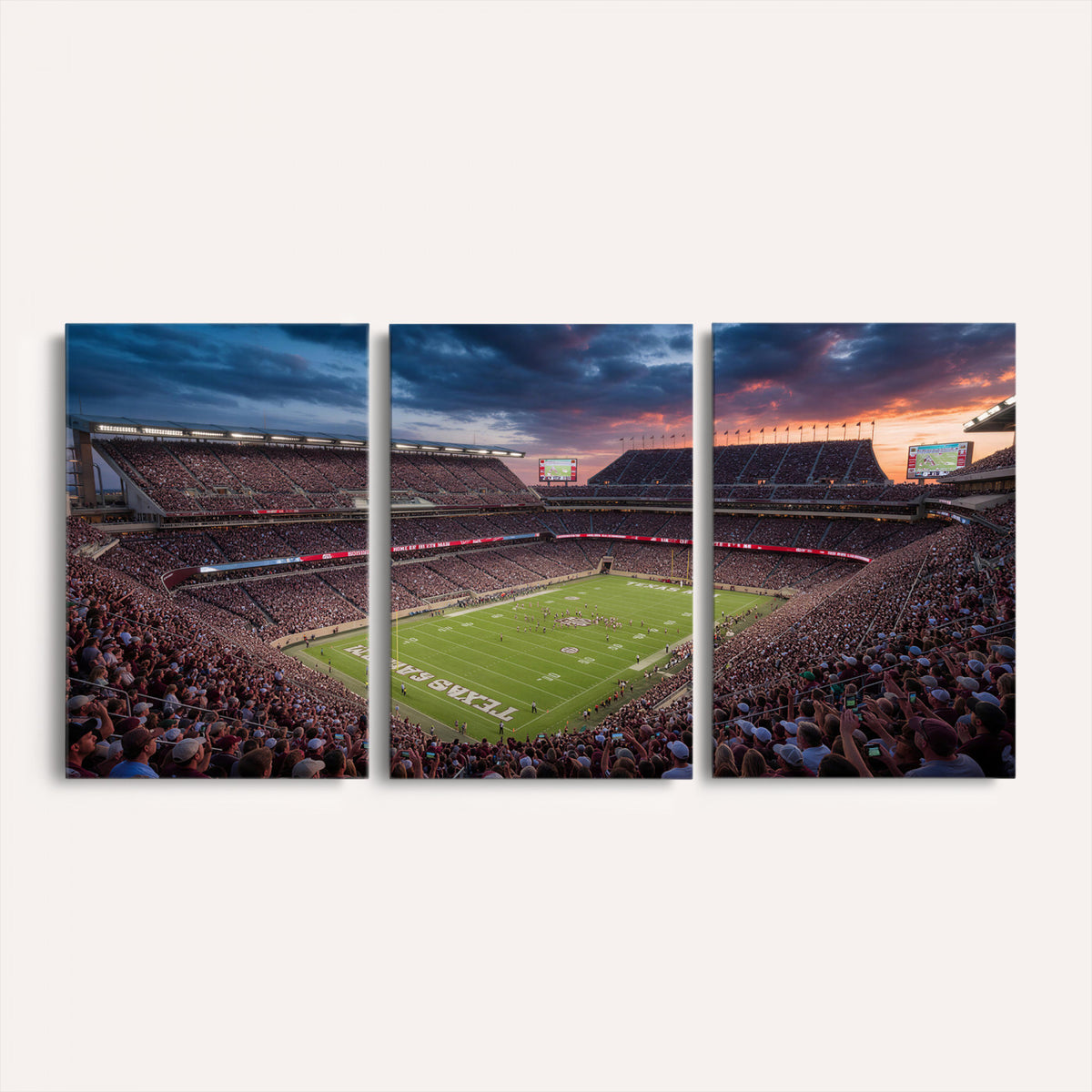 55475837-MGV-CV-36X24 - Stadium Wall Art Canvas Print