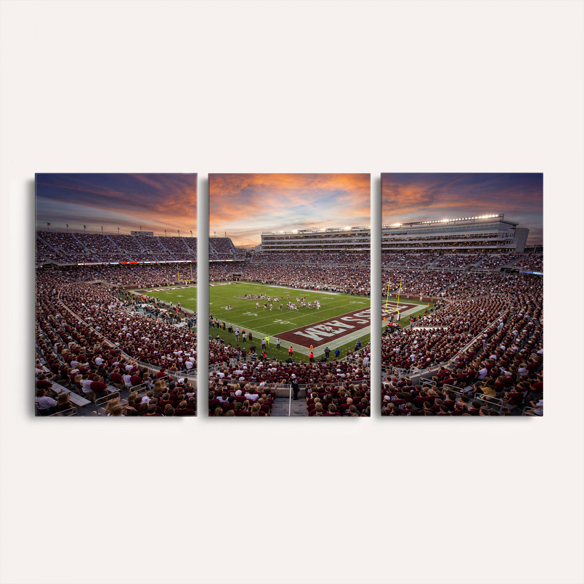 66624578-MGV-CV-36X24 - Stadium Wall Art Canvas Print