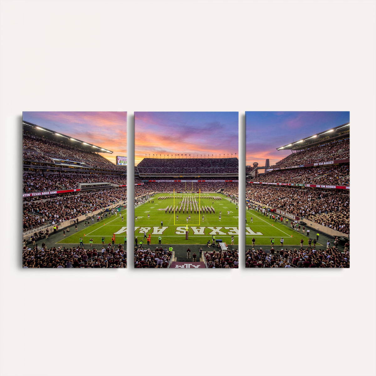 65952219-MGV-CV-36X24 - Stadium Wall Art Canvas Print