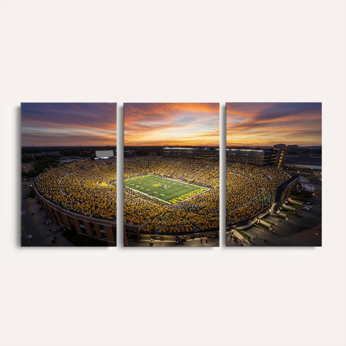 64902586-MGV-CV-36X24 - Stadium Wall Art Canvas Print