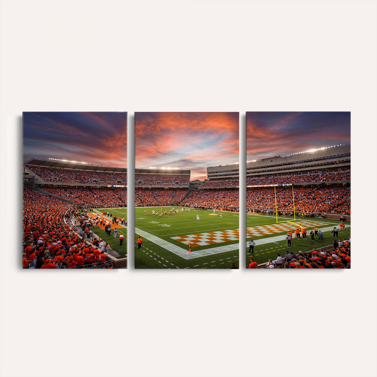 67648335-MGV-CV-36X24 - Stadium Wall Art Canvas Print