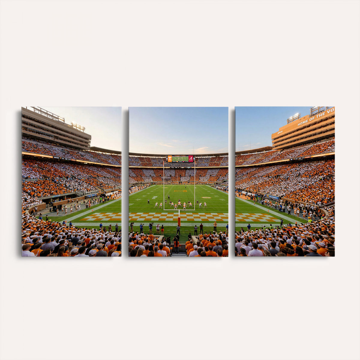 74509135-MGV-CV-36X24 - Stadium Wall Art Canvas Print