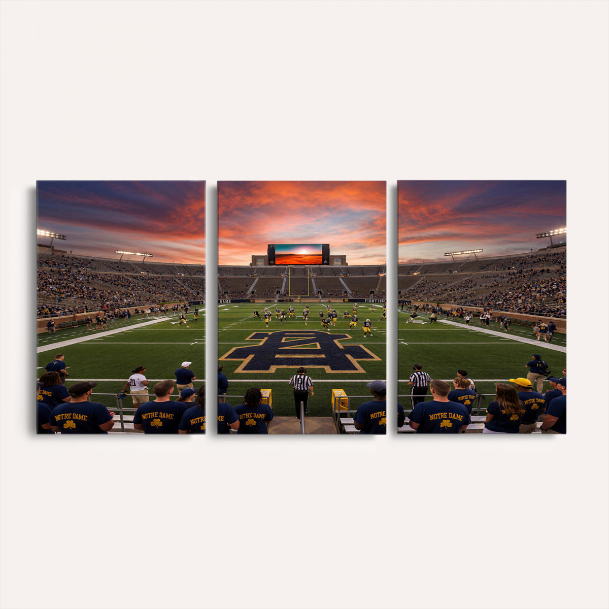 75411323-MGV-CV-36X24 - Stadium Wall Art Canvas Print