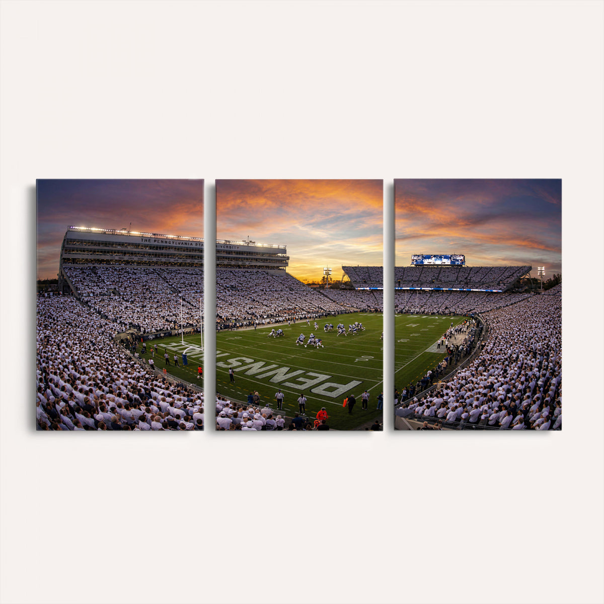 37485833-MGV-CV-36X24 - Stadium Wall Art Canvas Print