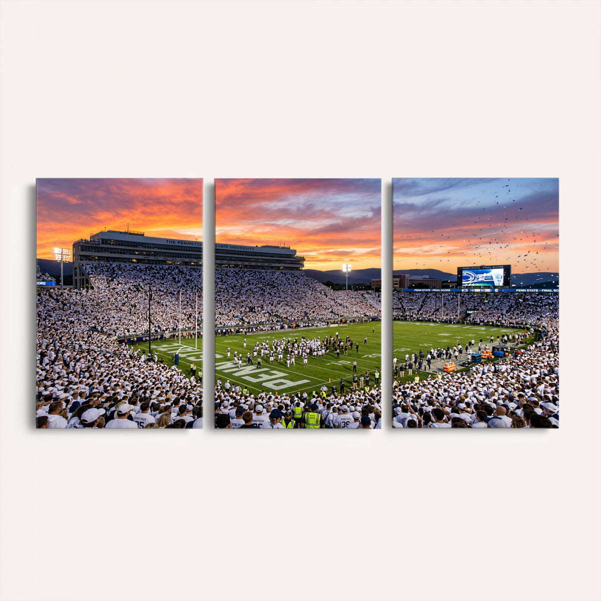 37057330-MGV-CV-36X24 - Stadium Wall Art Canvas Print