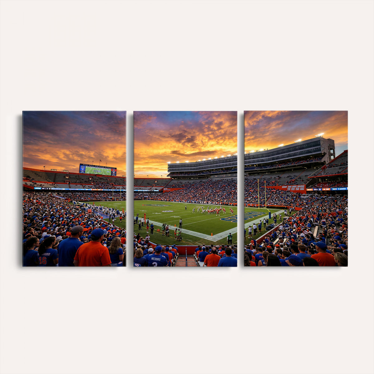 23829865-MGV-CV-36X24 - Stadium Wall Art Canvas Print