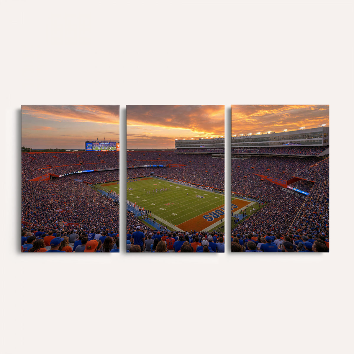 48009171-MGV-CV-36X24 - Stadium Wall Art Canvas Print