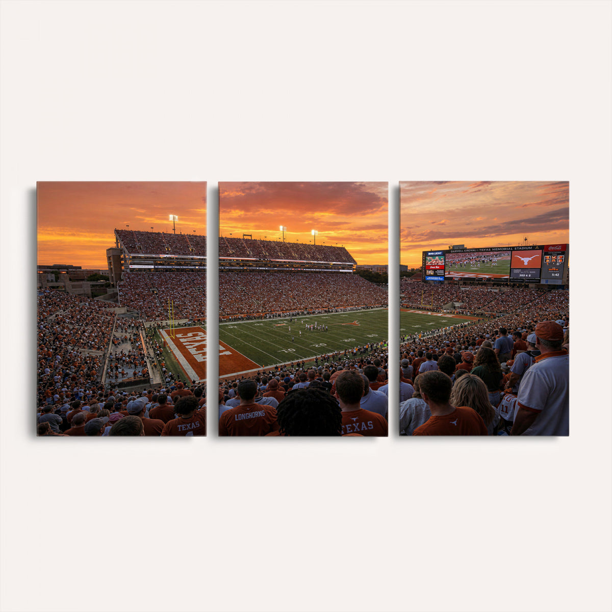 50466060-MGV-CV-36X24 - Stadium Wall Art Canvas Print
