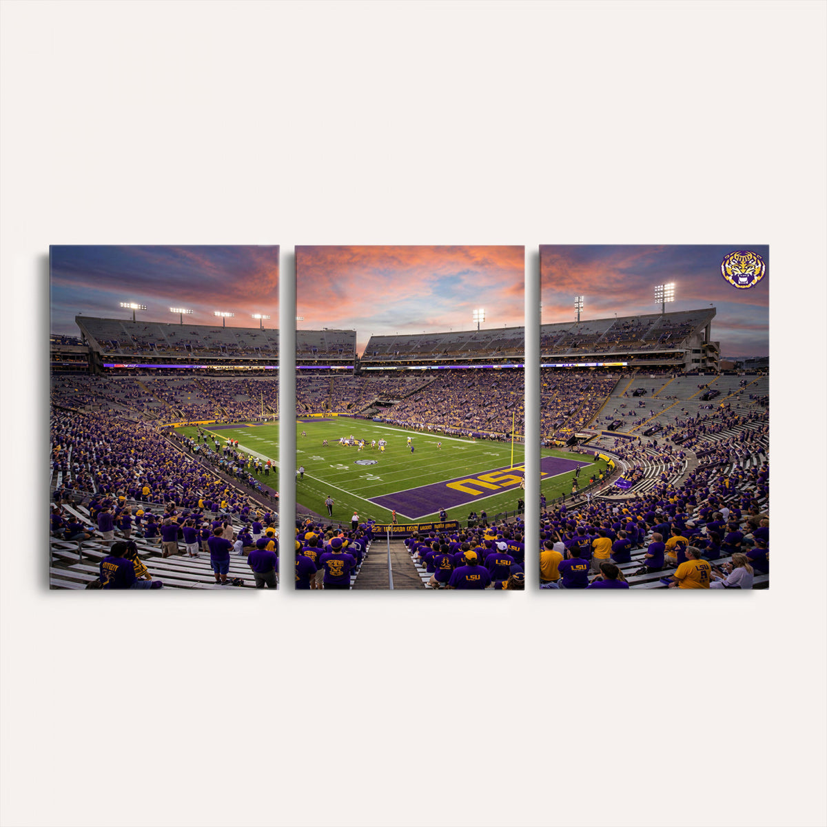 20281385-MGV-CV-36X24 - Stadium Wall Art Canvas Print