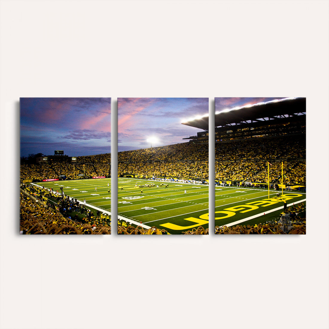 University of Oregon Ducks Football Team Print, Eugene, Framed and Ready to Hang
