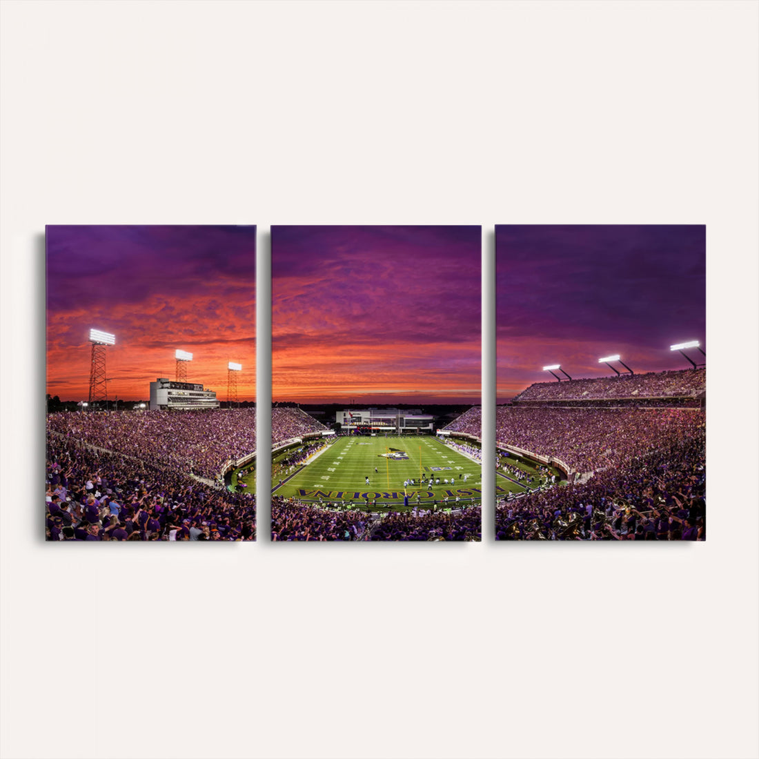 East Carolina University Pirates Football Print Canvas