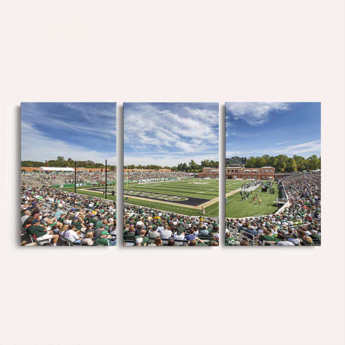 University of Charlotte 49ers Football Team Print, Framed and Ready to Hang