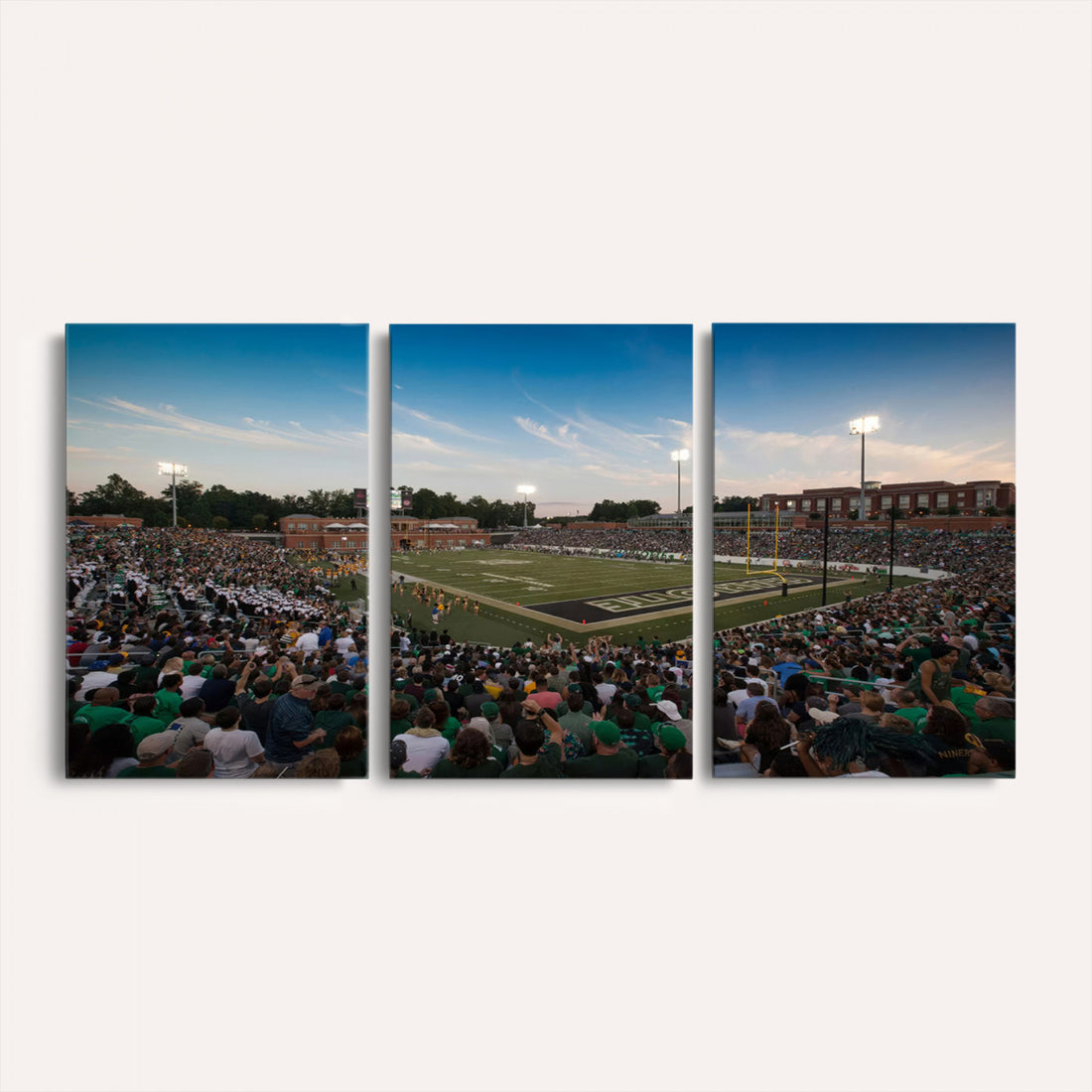 University of Charlotte 49ers Football Team Print