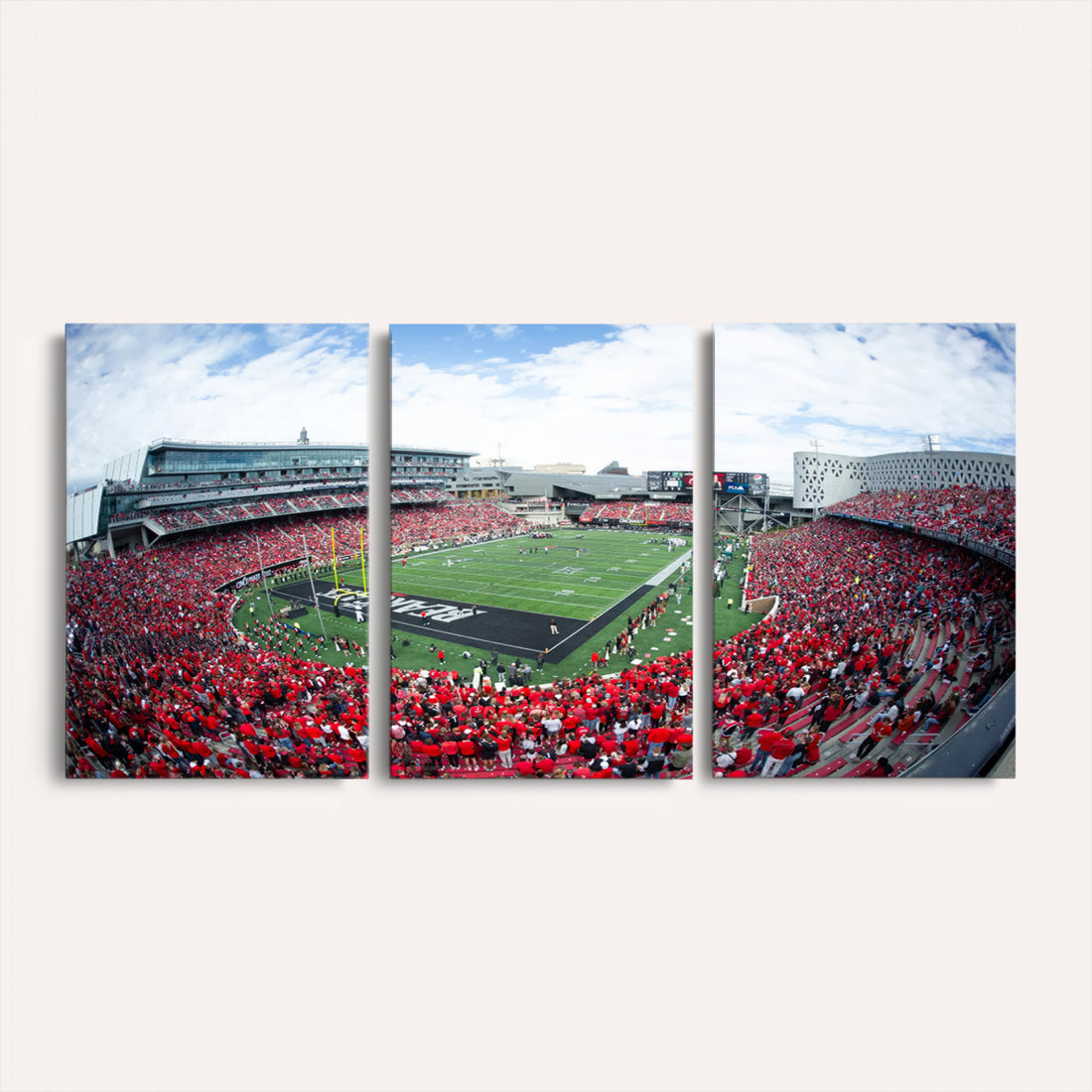 Cincinnati Bearcats Football Team Print, Nippert Stadium Wall Art