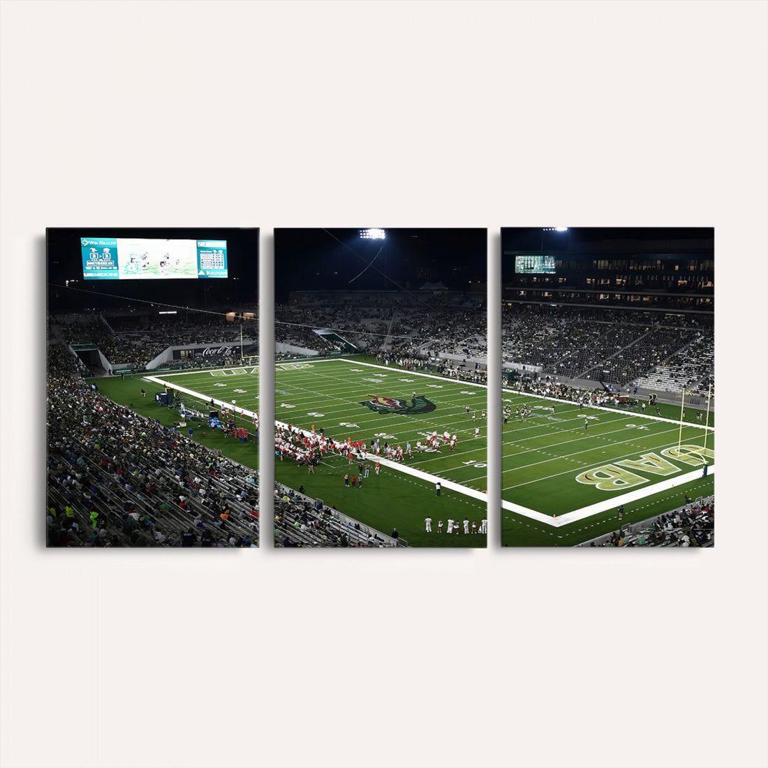 UAB Blazers Football Team Print, Birmingham Protective Stadium