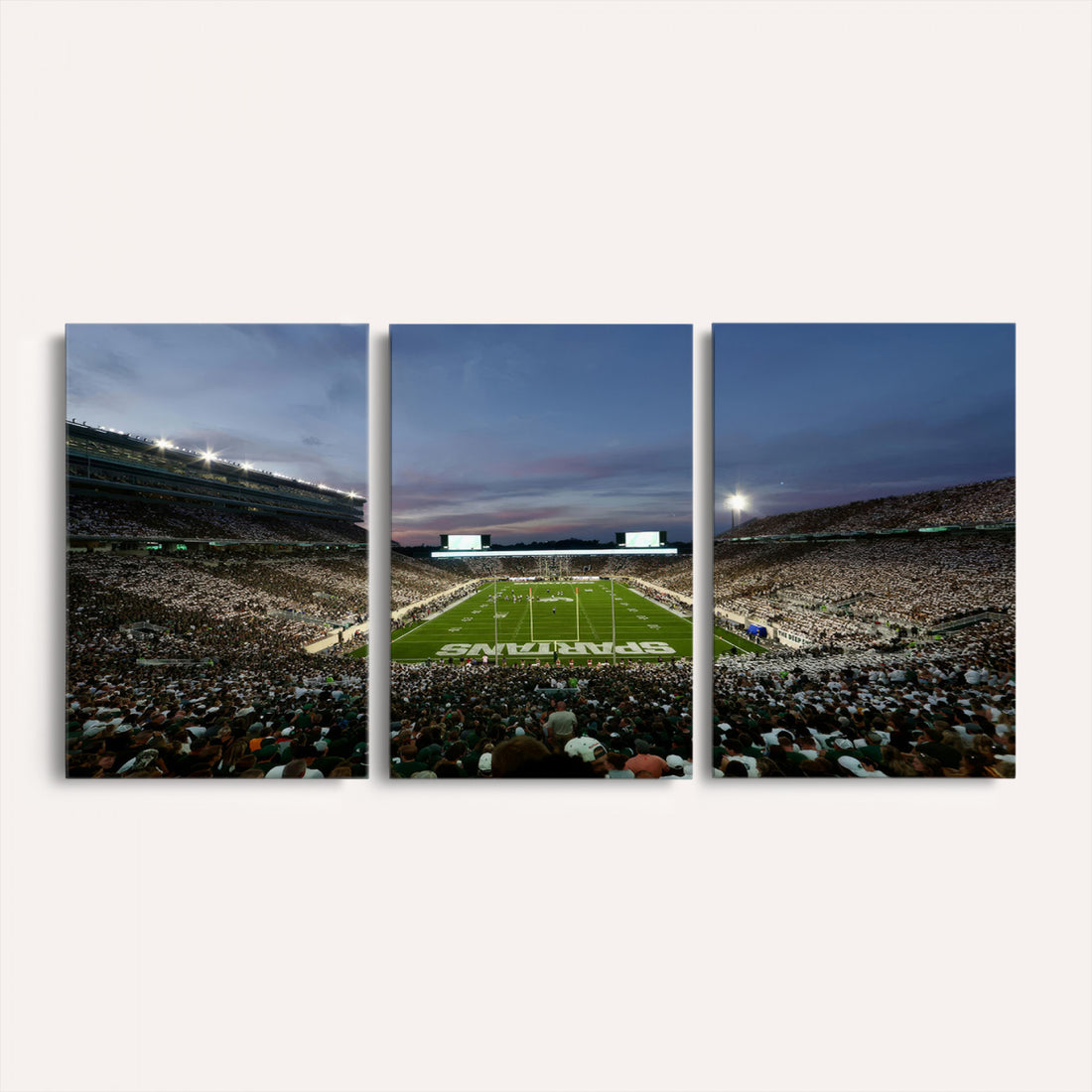 Michigan State Spartans Football Team Print, East Lansing