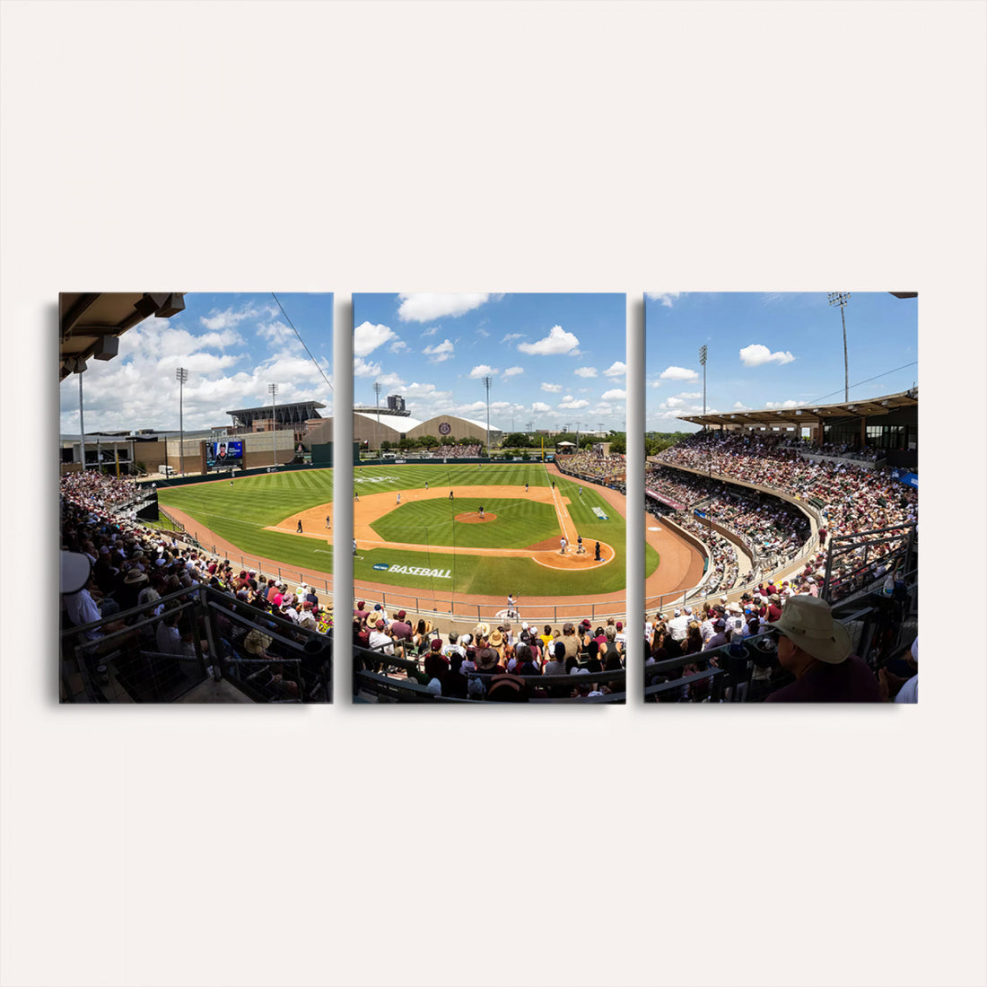 The Texas A&M University Aggies Athletics Team Print