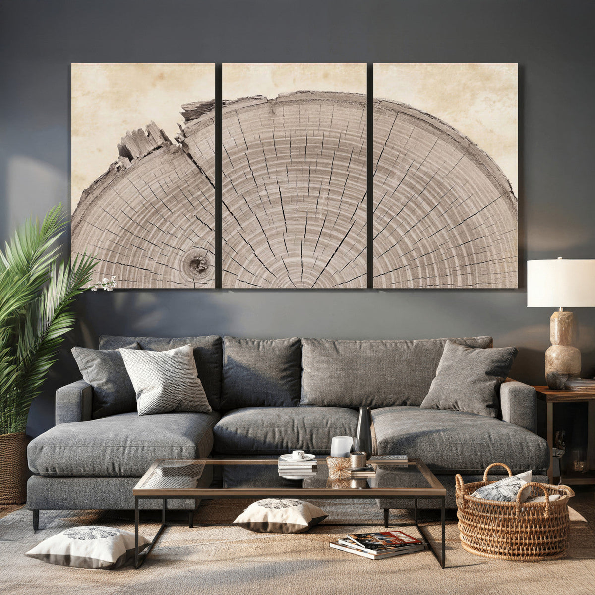64174838-MGV-CV-60X30-3P - Tree Ring Canvas Wall Art in Neutral Earth Tones, Framed Wood Slice Print for Rustic and Japandi Interiors