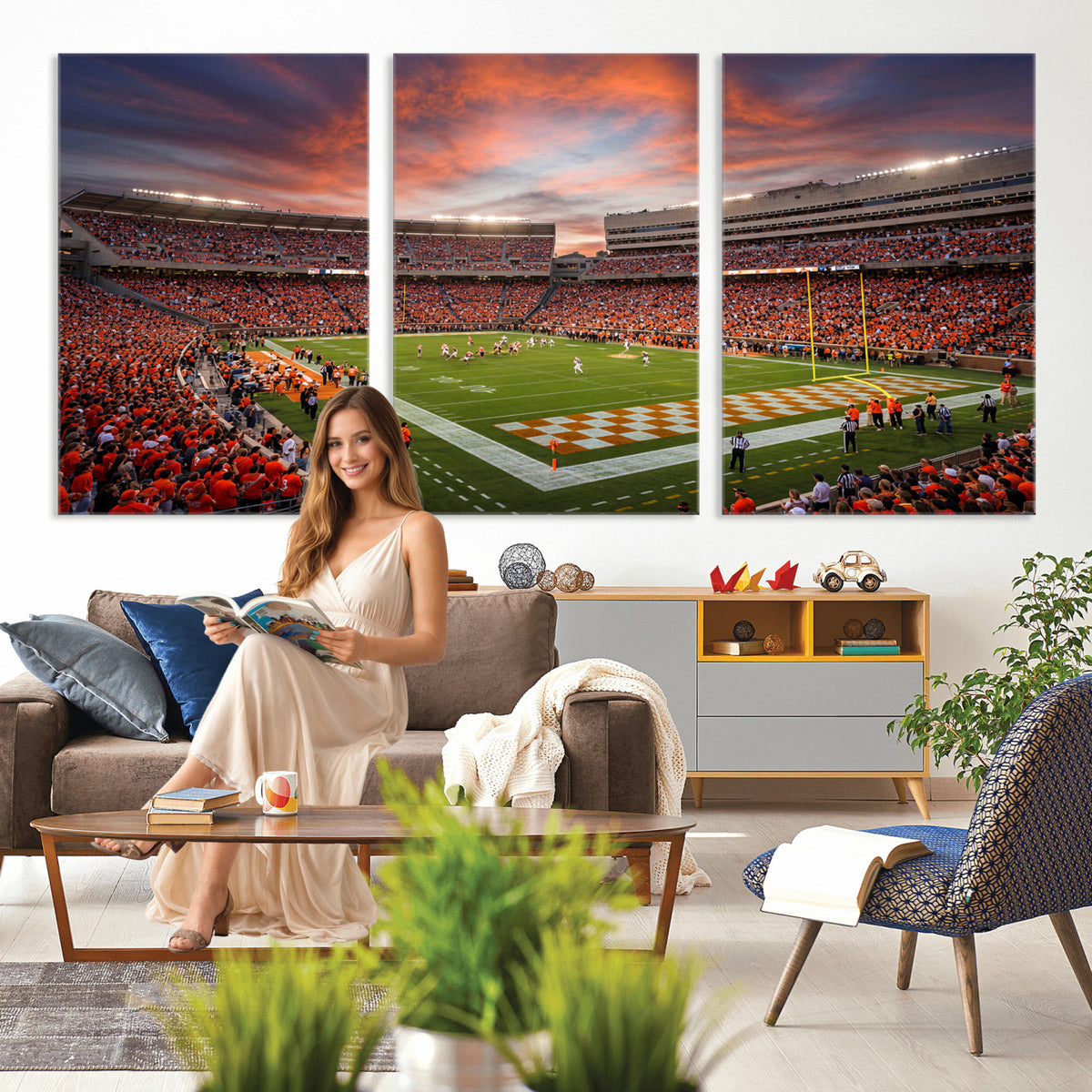 67648335-MGV-CV-36X24 - Stadium Wall Art Canvas Print