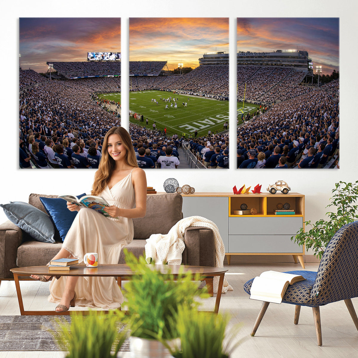 29008668-MGV-CV-36X24 - Stadium Wall Art Canvas Print