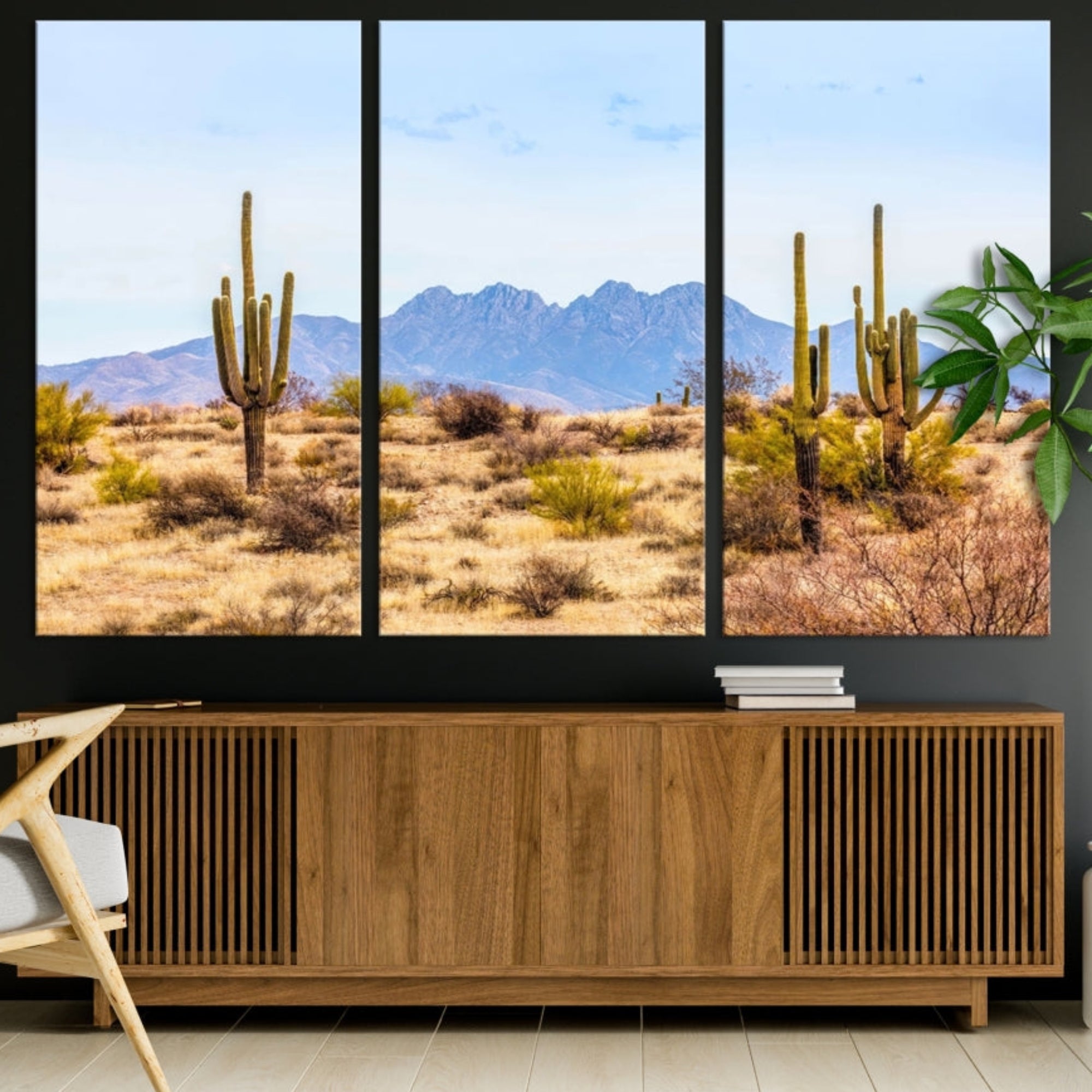 Edit-Images-Arizona Dessert Cactus Wall Art Canvas Print