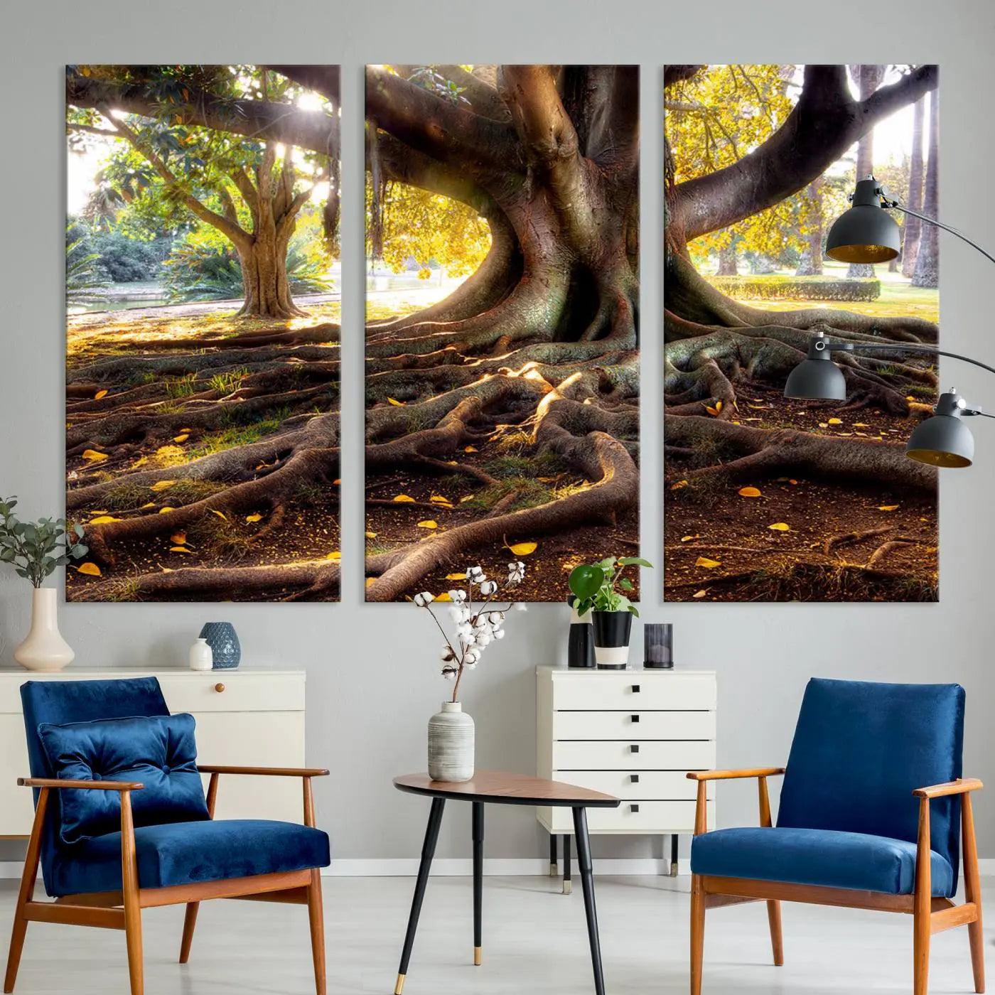 -Banyan Tree Canvas Wall Art Print - Majestic Roots and Sunlit Canopy, Moreton Bay Fig Tree Art for