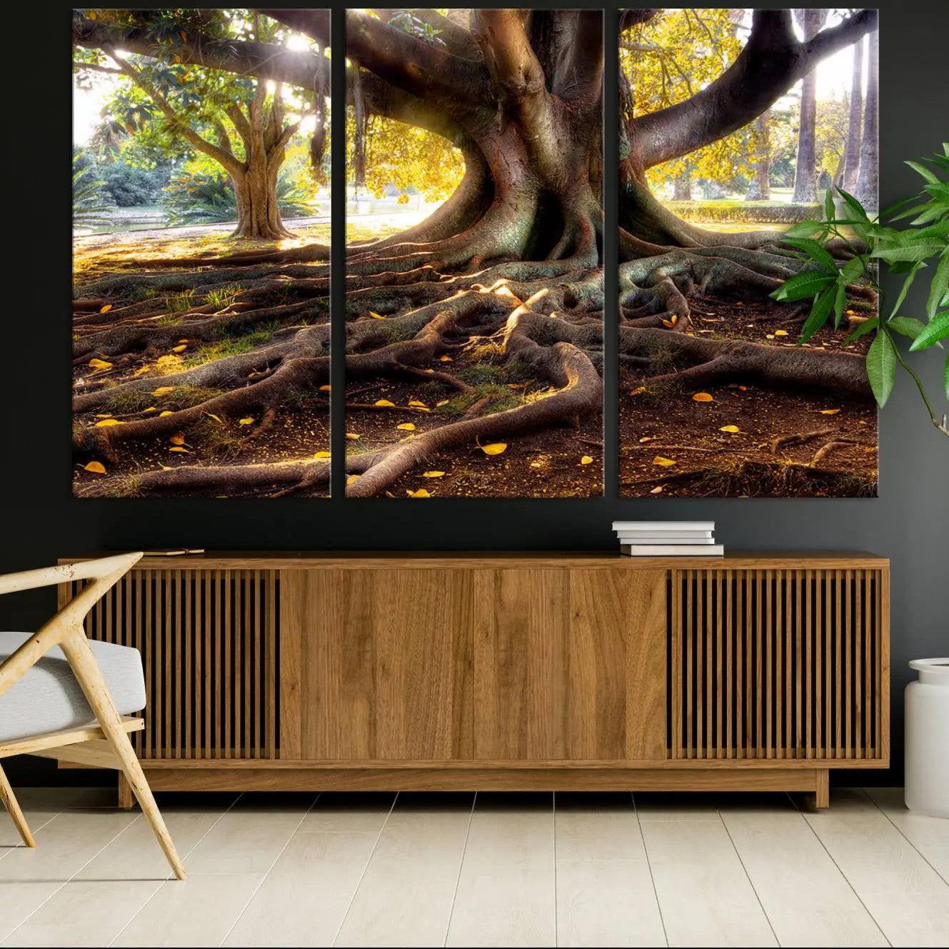 -Banyan Tree Canvas Wall Art Print - Majestic Roots and Sunlit Canopy, Moreton Bay Fig Tree Art for