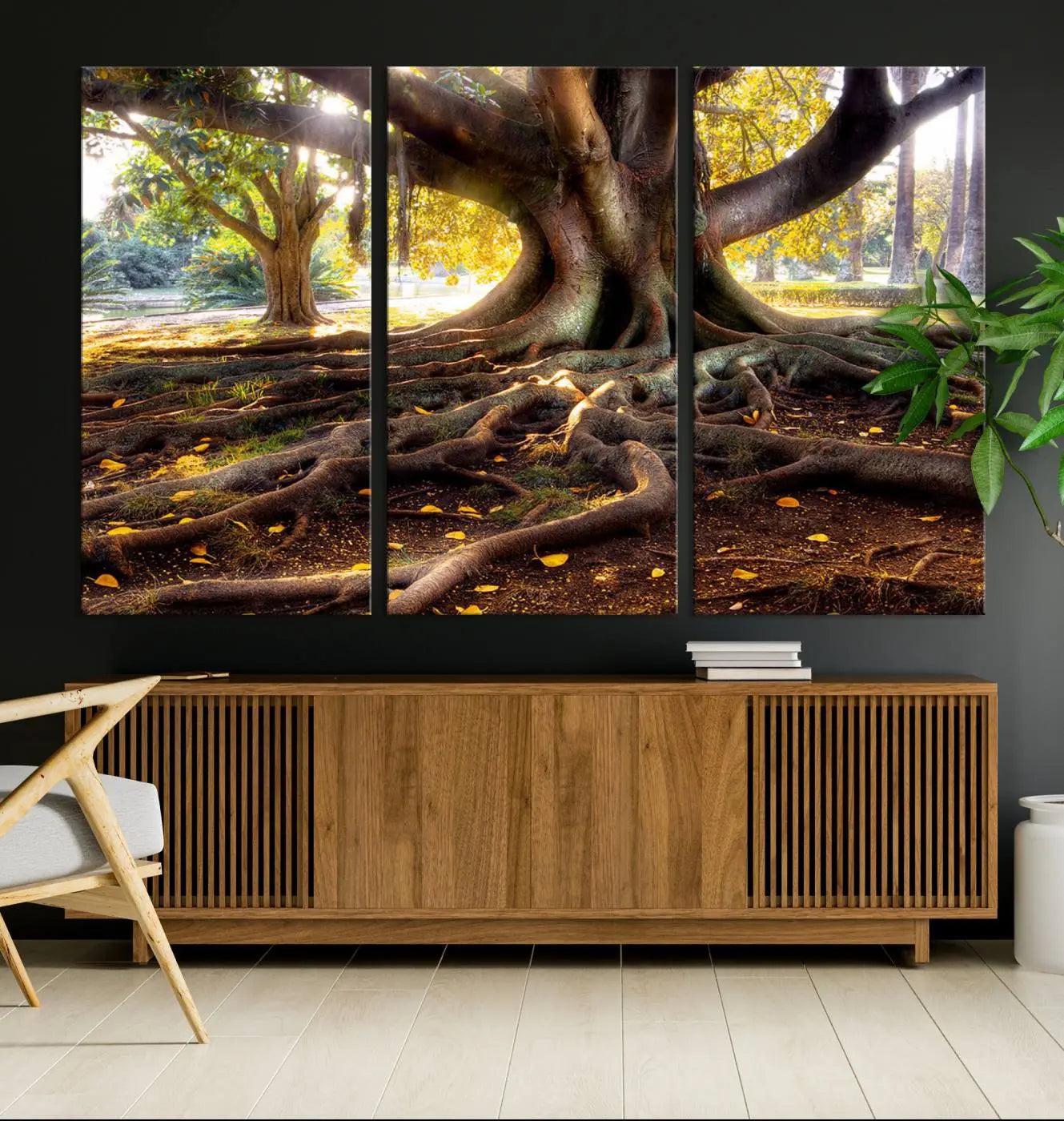 -Banyan Tree Canvas Wall Art Print - Majestic Roots and Sunlit Canopy, Moreton Bay Fig Tree Art for