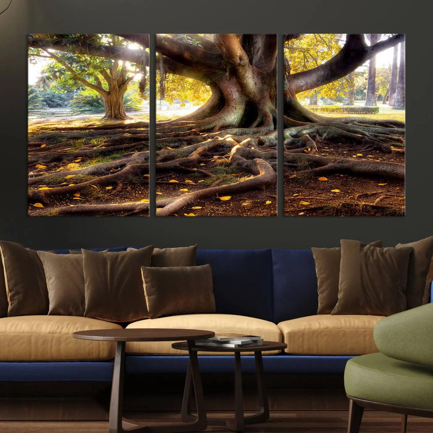 -Banyan Tree Canvas Wall Art Print - Majestic Roots and Sunlit Canopy, Moreton Bay Fig Tree Art for