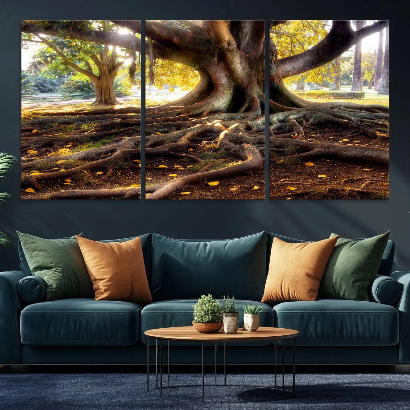 -Banyan Tree Canvas Wall Art Print - Majestic Roots and Sunlit Canopy, Moreton Bay Fig Tree Art for
