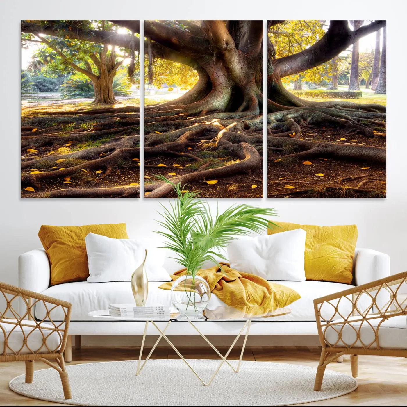 -Banyan Tree Canvas Wall Art Print - Majestic Roots and Sunlit Canopy, Moreton Bay Fig Tree Art for
