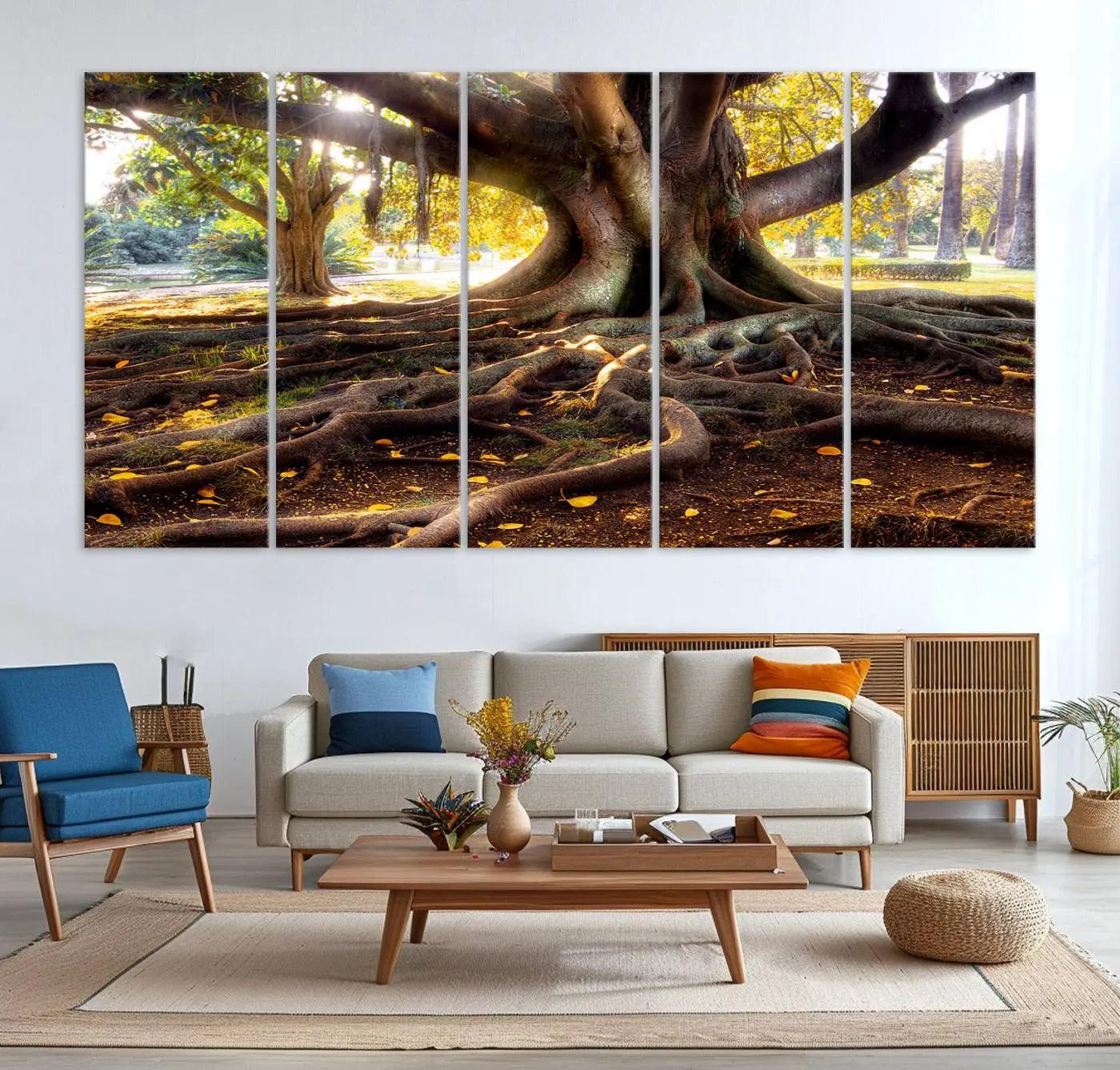 -Banyan Tree Canvas Wall Art Print - Majestic Roots and Sunlit Canopy, Moreton Bay Fig Tree Art for