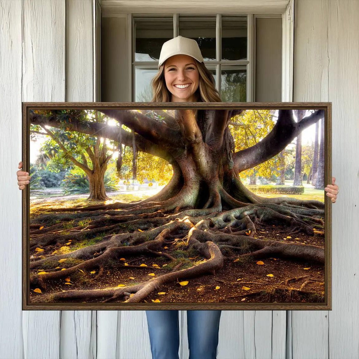 -Banyan Tree Canvas Wall Art Print - Majestic Roots and Sunlit Canopy, Moreton Bay Fig Tree Art for