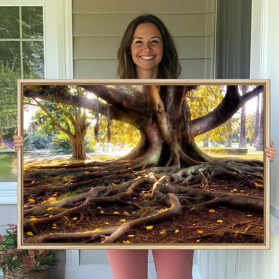 -Banyan Tree Canvas Wall Art Print - Majestic Roots and Sunlit Canopy, Moreton Bay Fig Tree Art for