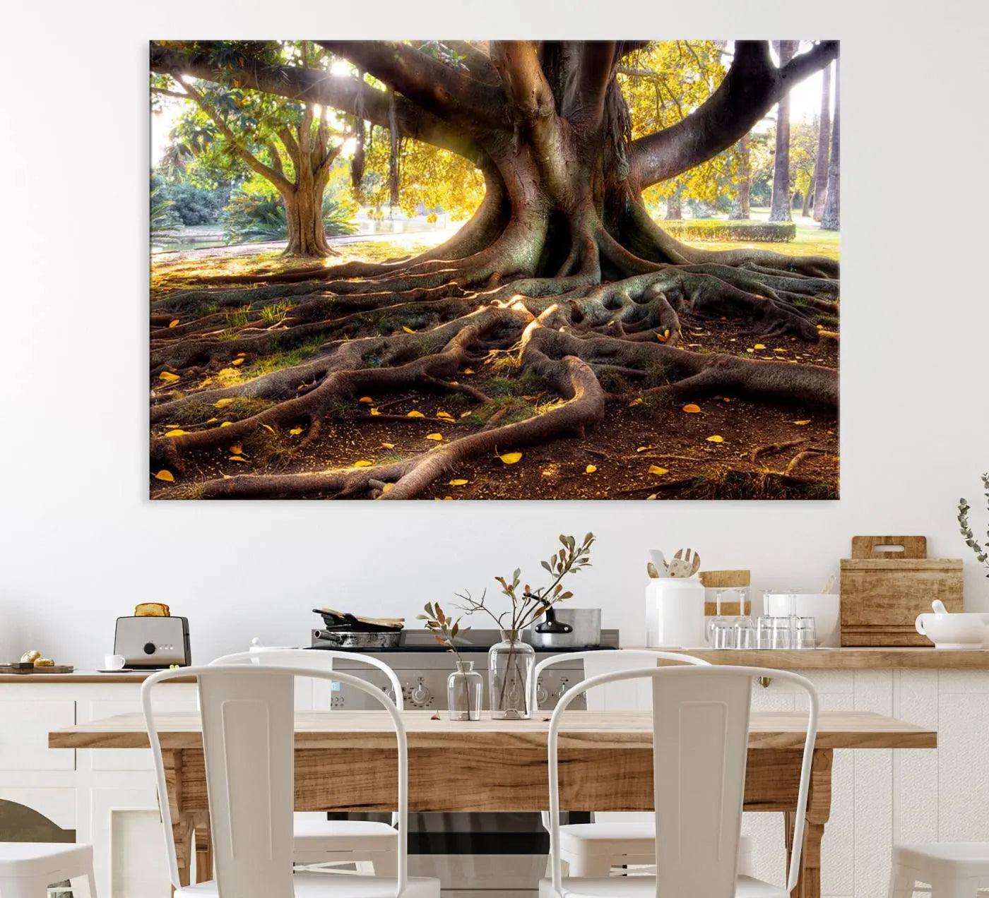 53335-MGV-CV-36X24-Banyan Tree Canvas Wall Art Print - Majestic Roots and Sunlit Canopy, Moreton Bay Fig Tree Art for