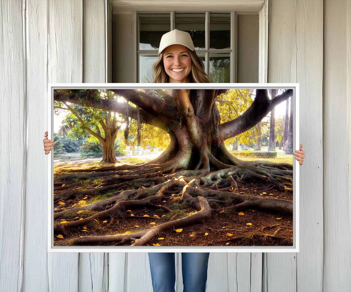 -Banyan Tree Canvas Wall Art Print - Majestic Roots and Sunlit Canopy, Moreton Bay Fig Tree Art for