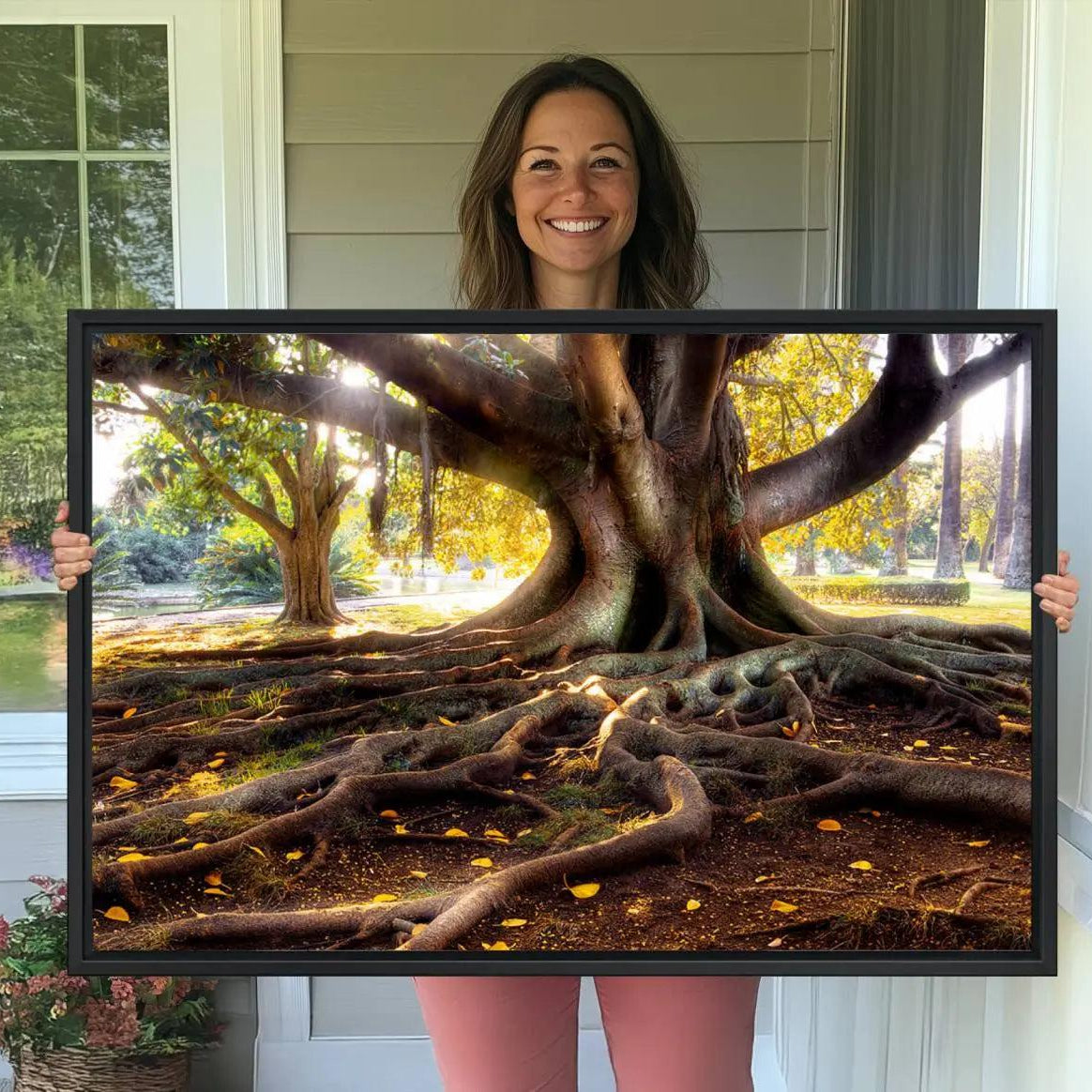 -Banyan Tree Canvas Wall Art Print - Majestic Roots and Sunlit Canopy, Moreton Bay Fig Tree Art for