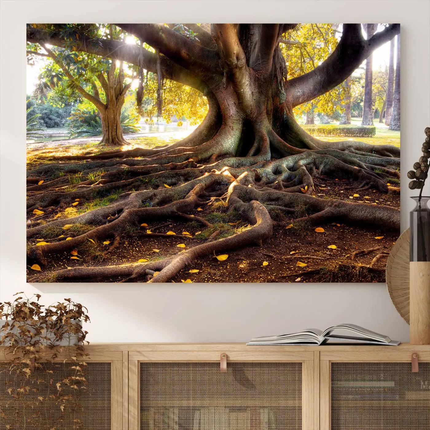 -Banyan Tree Canvas Wall Art Print - Majestic Roots and Sunlit Canopy, Moreton Bay Fig Tree Art for