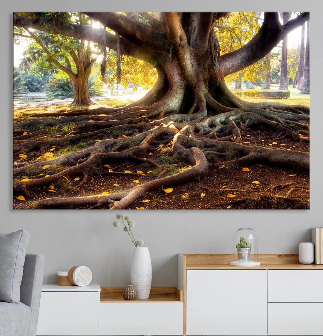 -Banyan Tree Canvas Wall Art Print - Majestic Roots and Sunlit Canopy, Moreton Bay Fig Tree Art for