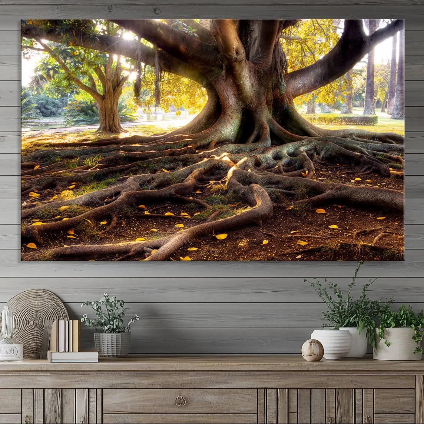 -Banyan Tree Canvas Wall Art Print - Majestic Roots and Sunlit Canopy, Moreton Bay Fig Tree Art for
