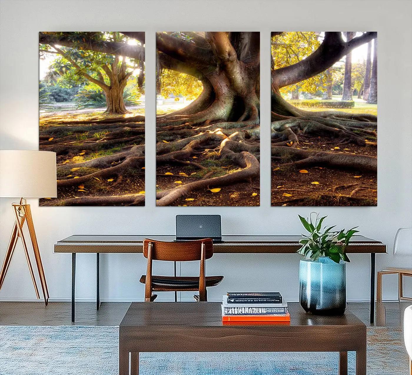 53335-MGV-CV-48X32-3P-Banyan Tree Canvas Wall Art Print - Majestic Roots and Sunlit Canopy, Moreton Bay Fig Tree Art for
