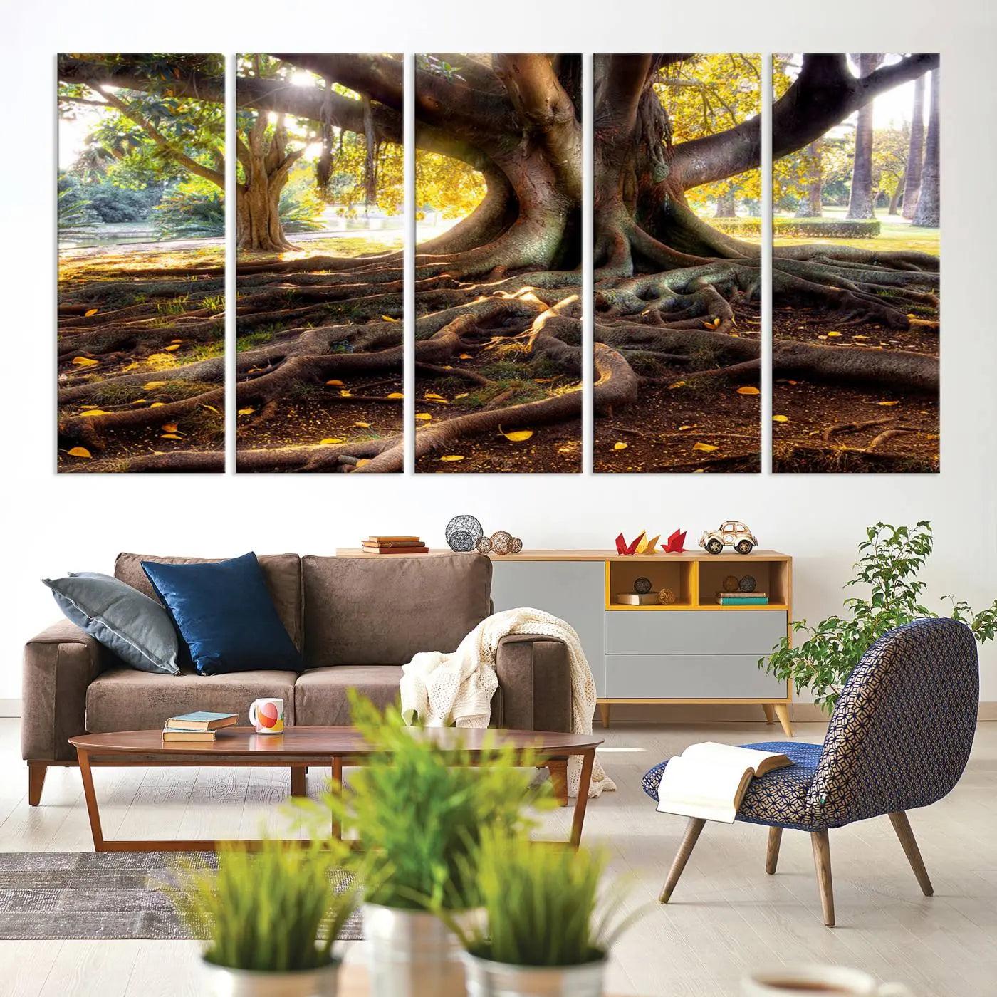 53335-MGV-CV-60X31-5P-Banyan Tree Canvas Wall Art Print - Majestic Roots and Sunlit Canopy, Moreton Bay Fig Tree Art for