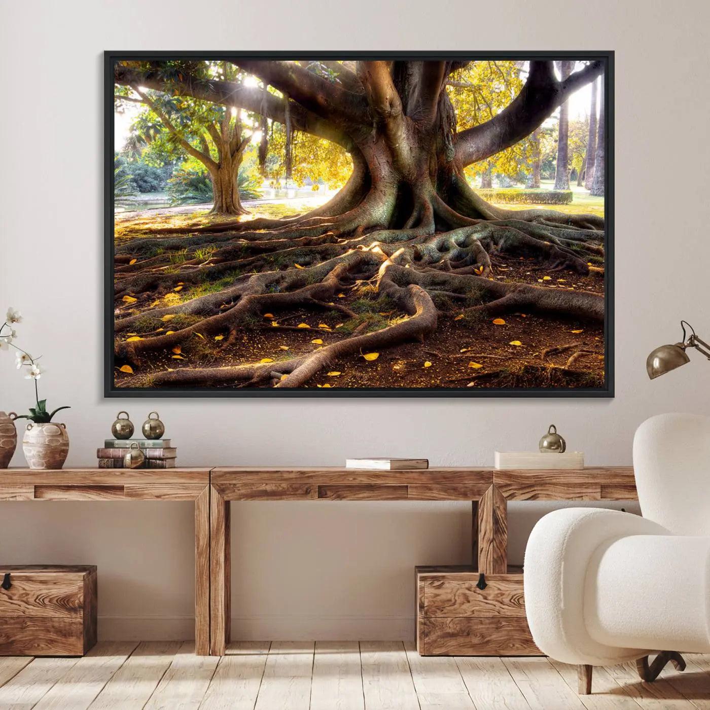 53335-MGV-FC-36X24_Black-Banyan Tree Canvas Wall Art Print - Majestic Roots and Sunlit Canopy, Moreton Bay Fig Tree Art for