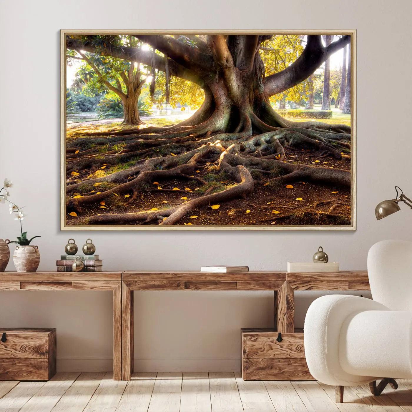 53335-MGV-FC-36X24_Natural-Banyan Tree Canvas Wall Art Print - Majestic Roots and Sunlit Canopy, Moreton Bay Fig Tree Art for