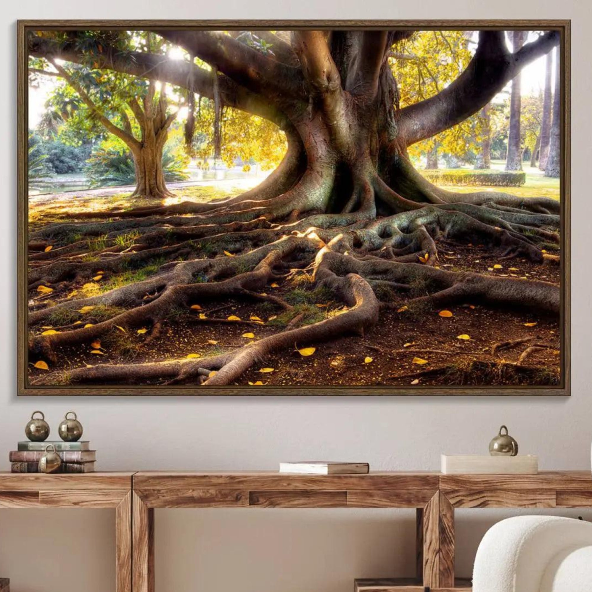 53335-MGV-FC-36X24_Walnut-Banyan Tree Canvas Wall Art Print - Majestic Roots and Sunlit Canopy, Moreton Bay Fig Tree Art for