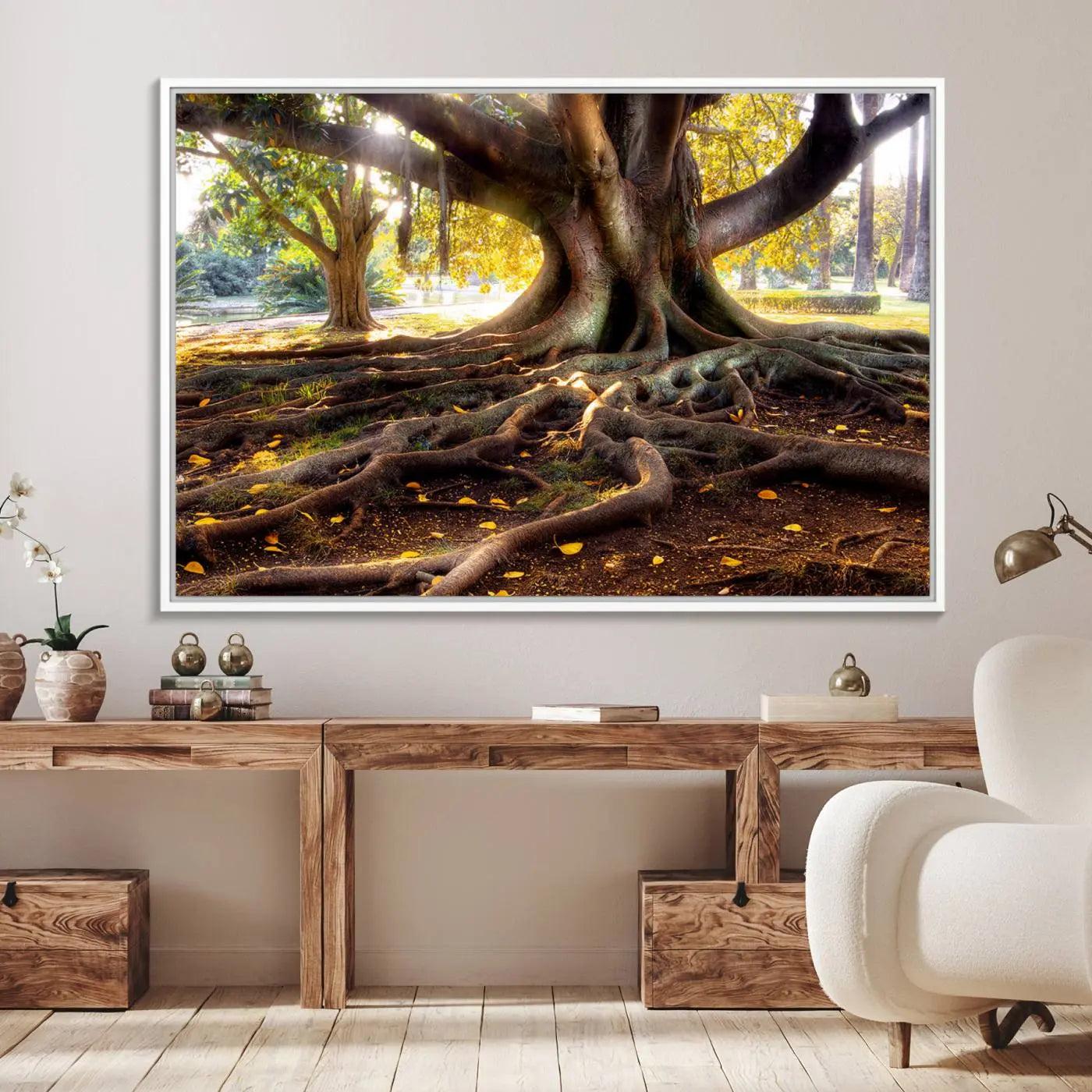 53335-MGV-FC-36X24_White-Banyan Tree Canvas Wall Art Print - Majestic Roots and Sunlit Canopy, Moreton Bay Fig Tree Art for