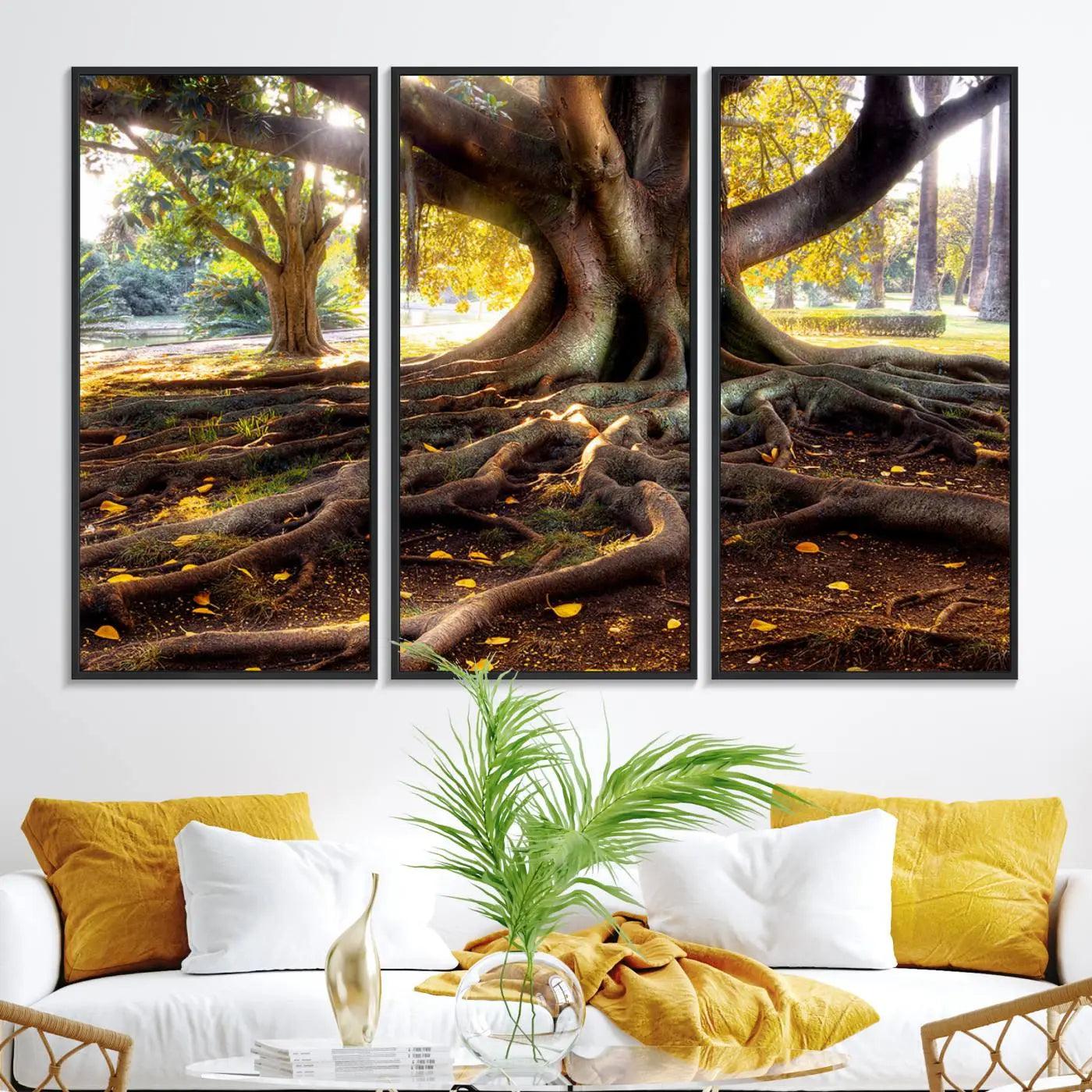 53335-MGV-FC-48X32-3P_Black-Banyan Tree Canvas Wall Art Print - Majestic Roots and Sunlit Canopy, Moreton Bay Fig Tree Art for